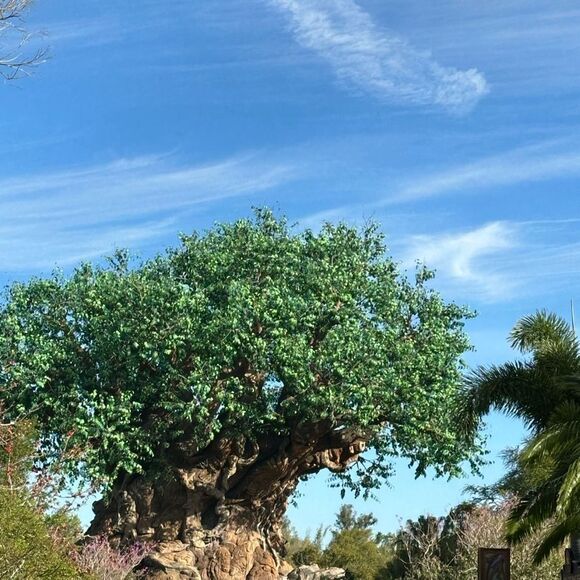 Mickey’s Very Merry Christmas Party 2024 Gingerbread House Ornament MVMCP NEW - Picture 8 of 8
